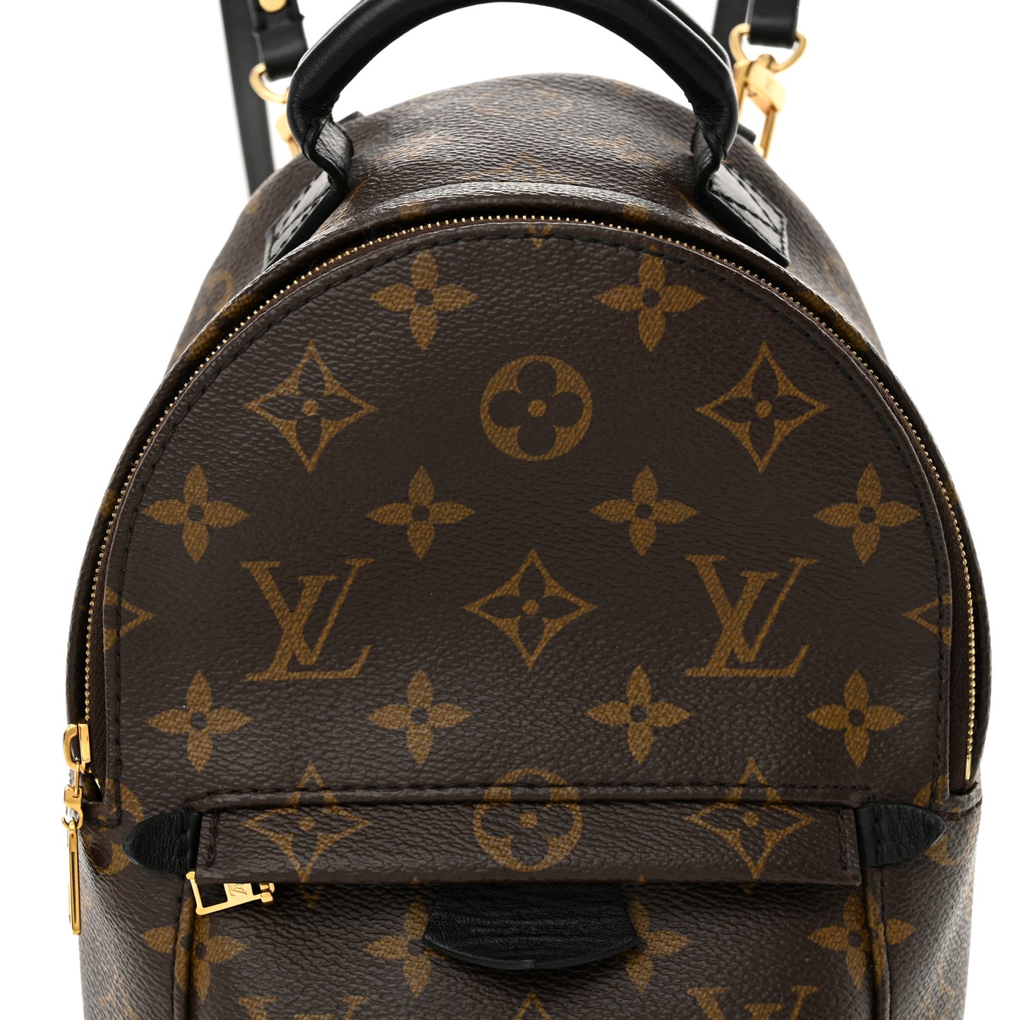 Monogram Palm Springs Backpack Mini