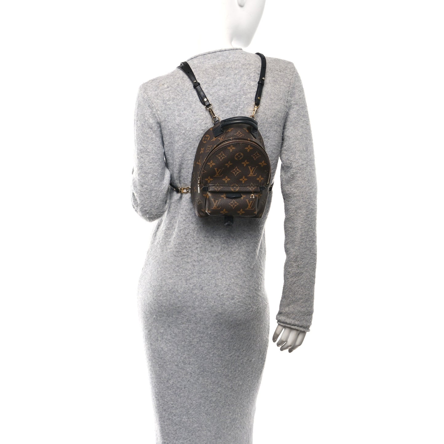 Monogram Palm Springs Backpack Mini