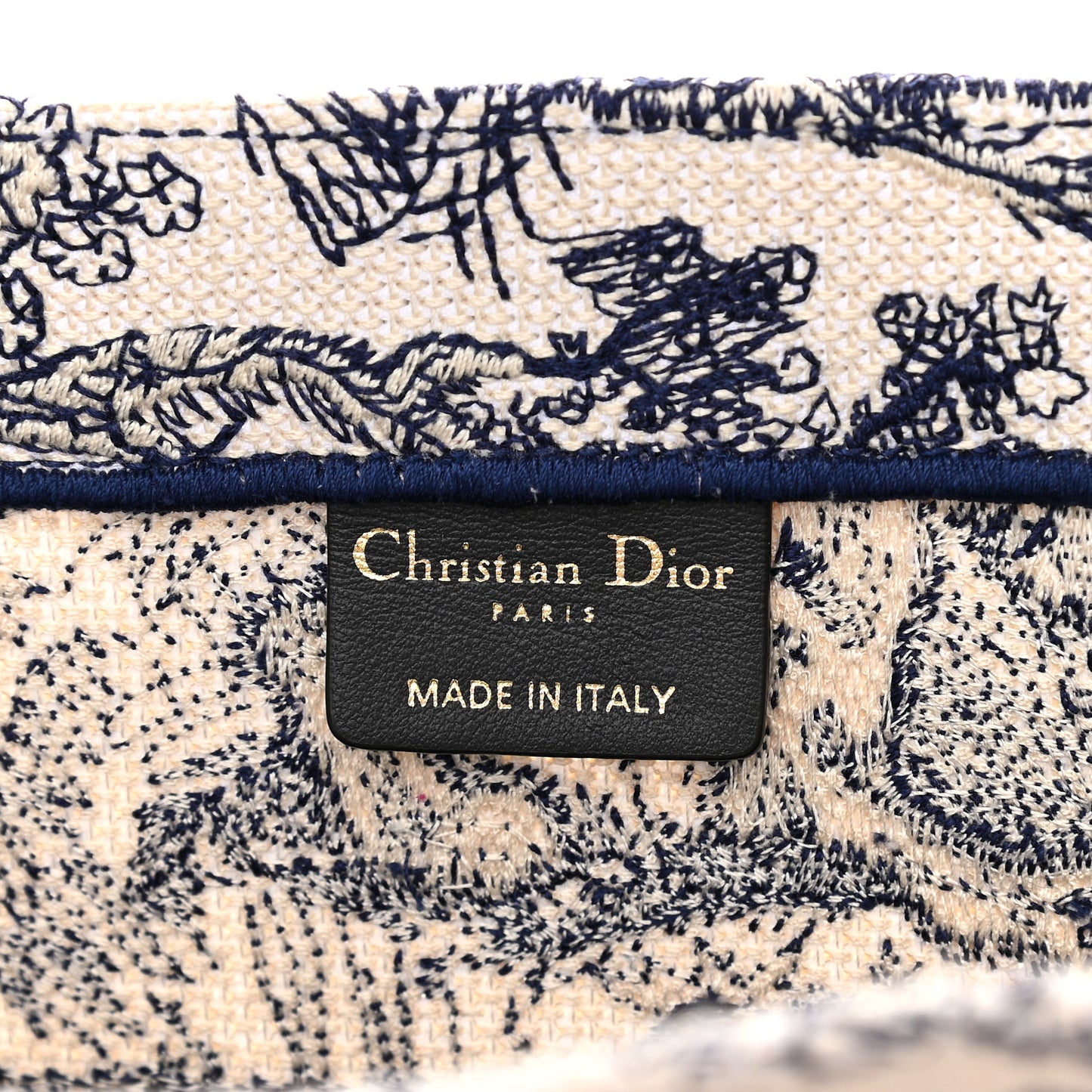 Canvas Embroidered Medium Dioriviera Toile De Jouy Book Tote Blue