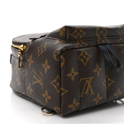Louis Vuitton Monogram Palm Springs Backpack Mini 8 of 9