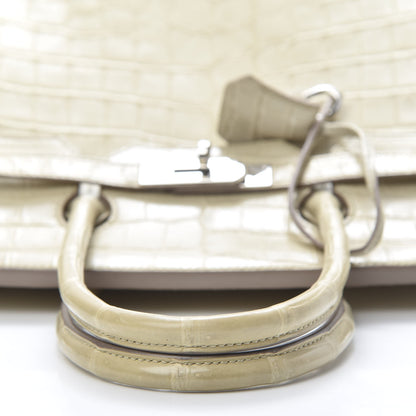 Hermes Matte Niloticus Crocodile Birkin 35 Beton 10 of 39