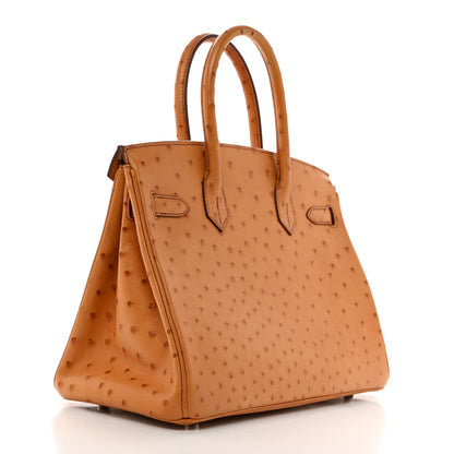 Hermes Ostrich Birkin 30 Cognac 2 of 10