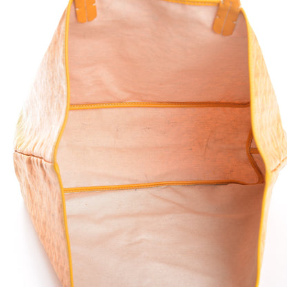 Goyard Goyardine Saint Louis PM Yellow 6 of 11