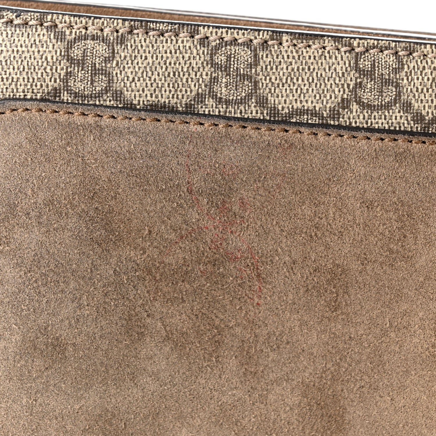 Gucci GG Supreme Monogram Embroidered Carnation Medium Dionysus Shoulder Bag Beige 11 of 11