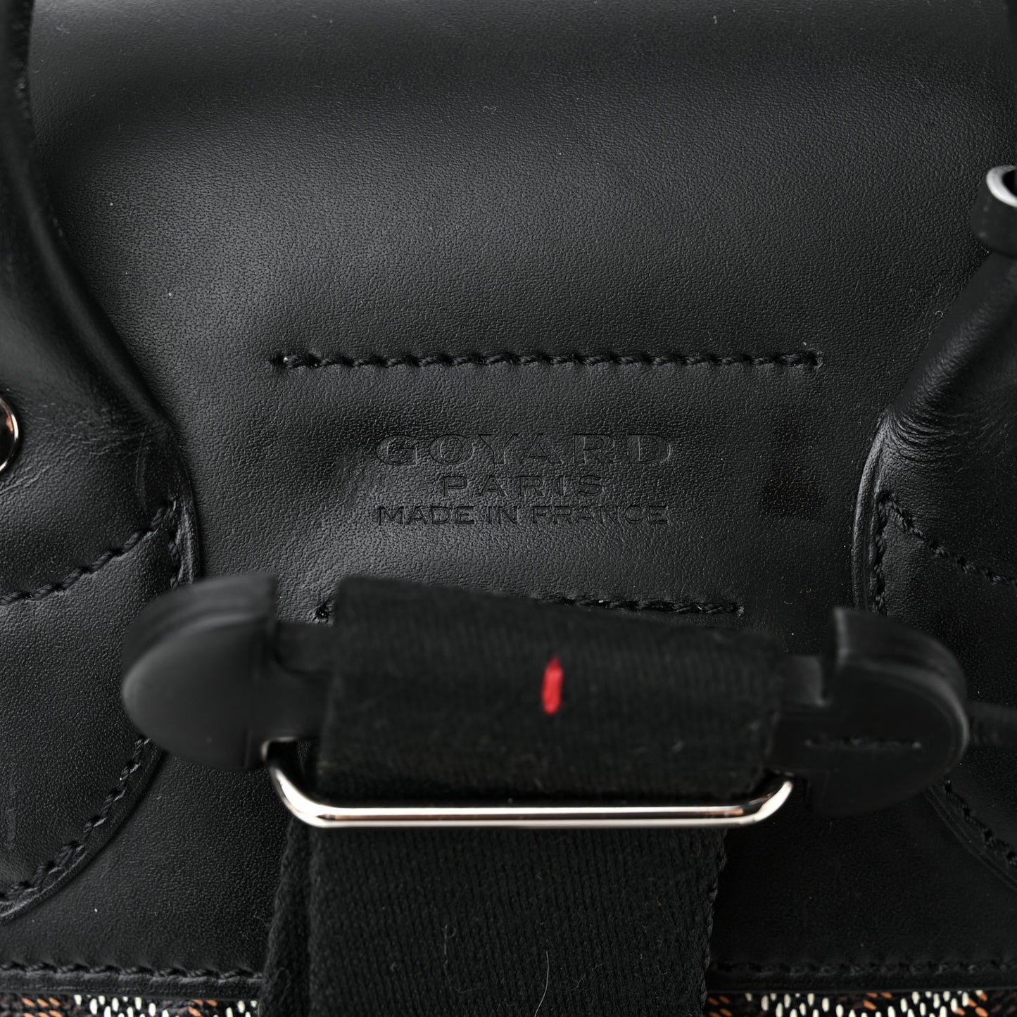 Goyardine Calfskin Alpin MM Backpack Black