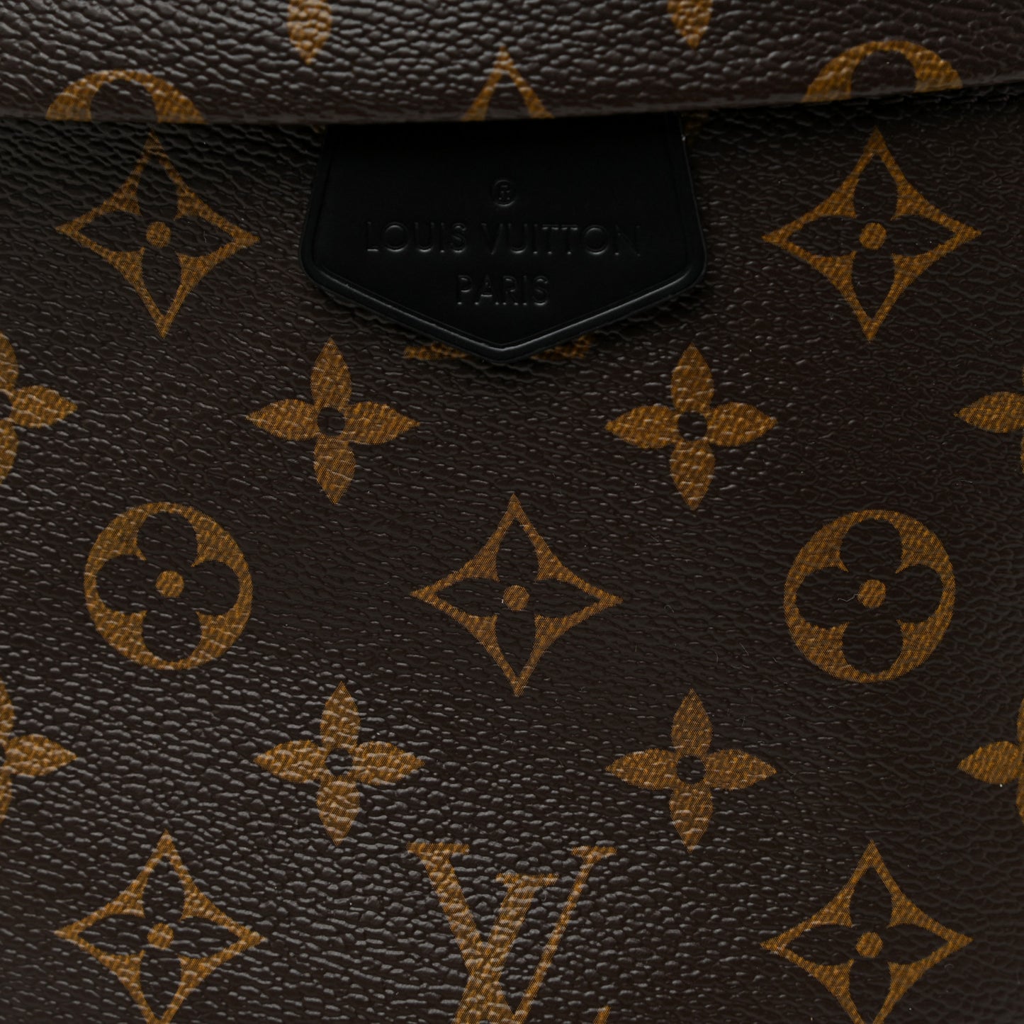 Monogram My LV World Tour Bumbag