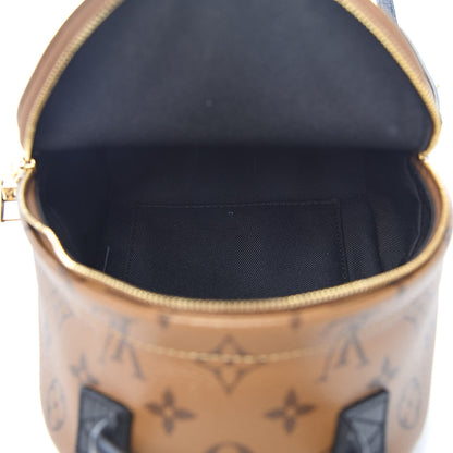 Louis Vuitton Reverse Monogram Palm Springs Backpack Mini 5 of 11