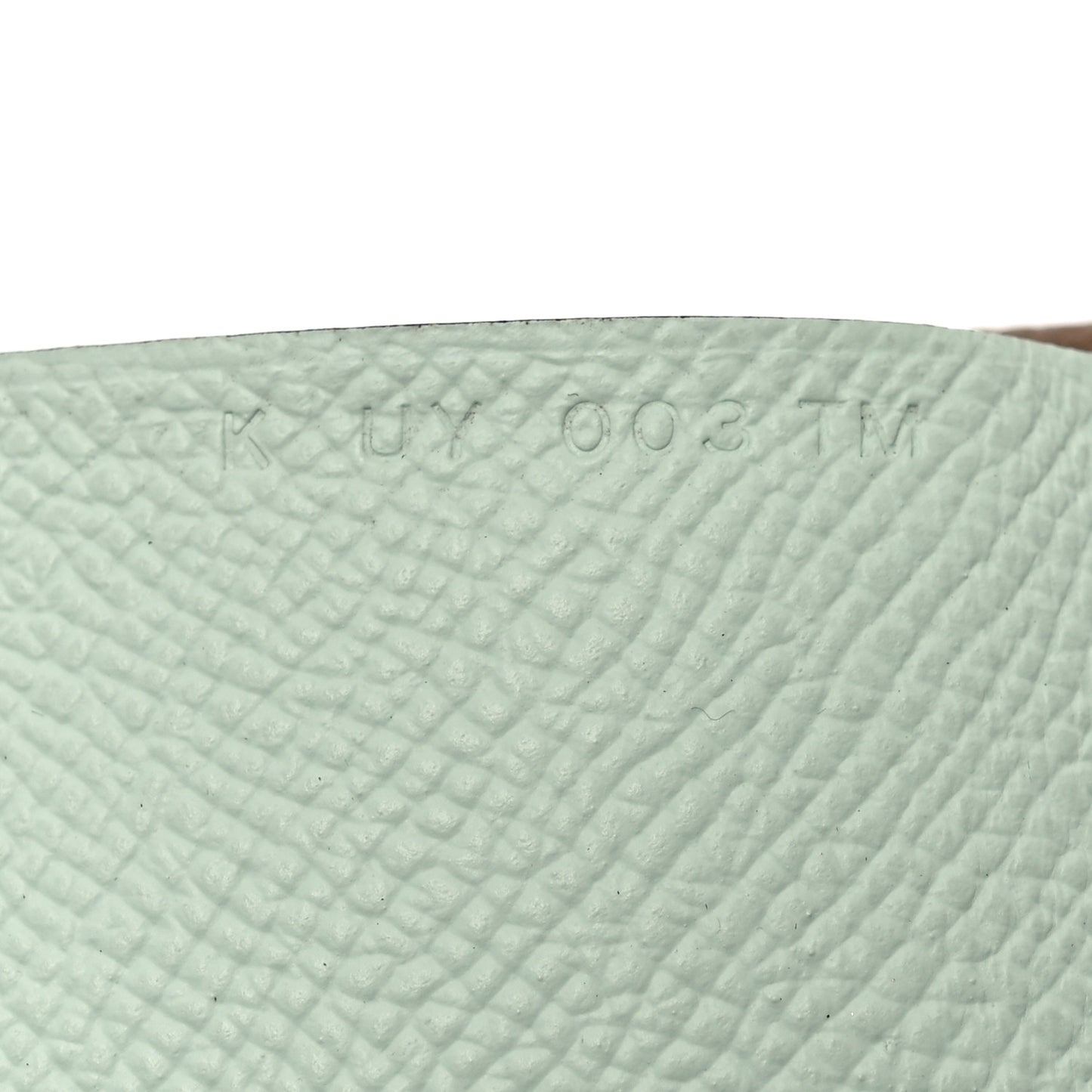 Epsom Verso Calvi Duo Card Case Alezan Vert Peppermint