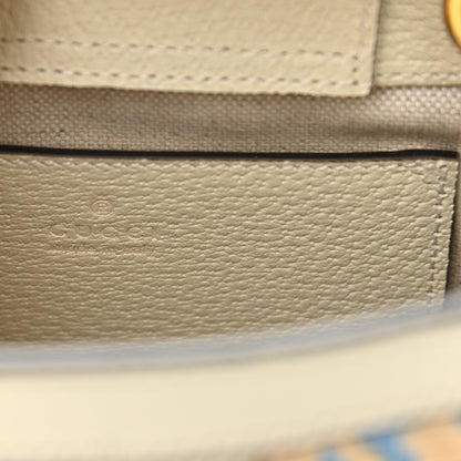 Gucci Raffia Textured Dollar Calfskin Web Houndstooth Mini Diana Tote Bag Light Blue Natural Deep Orange 6 of 7