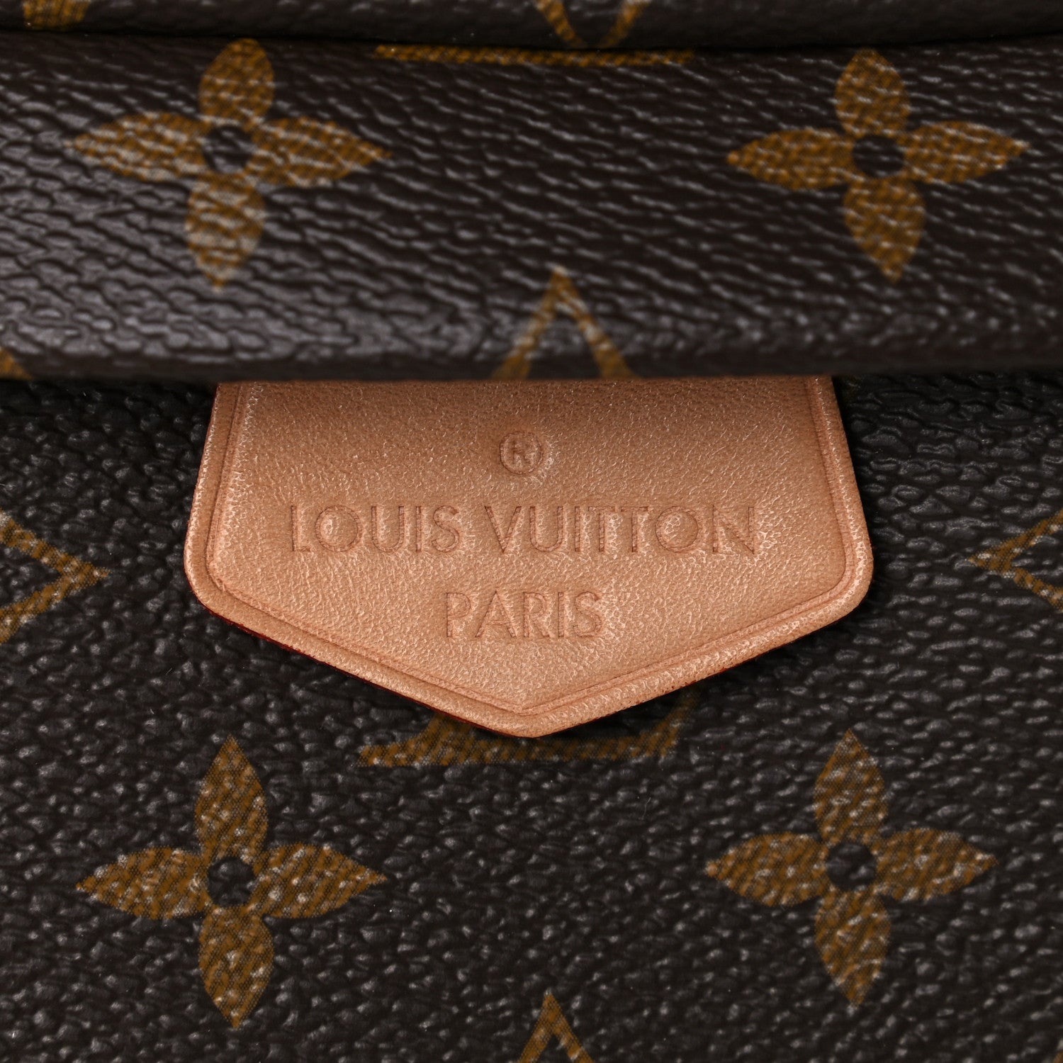 Louis Vuitton Monogram Bumbag 8 of 12