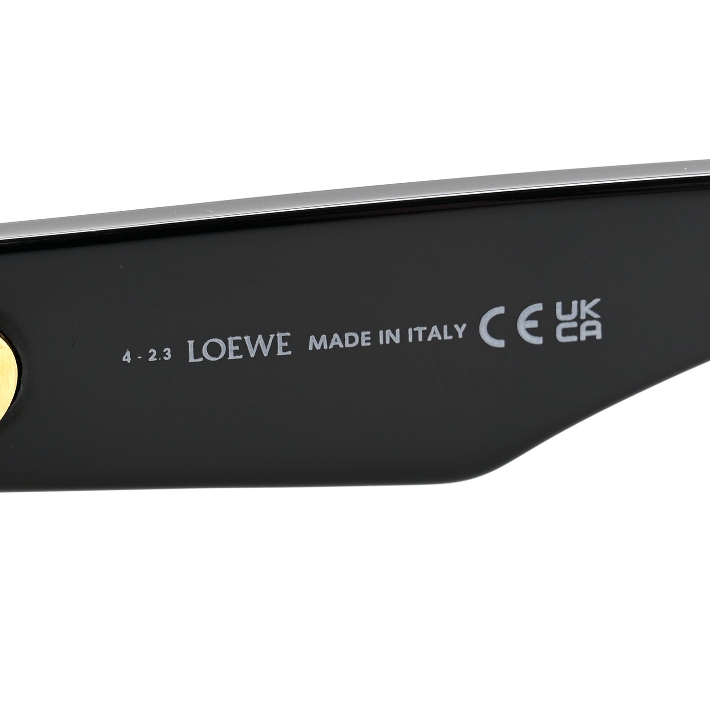 Acetate Rectangular Sunglasses LW40101I Black