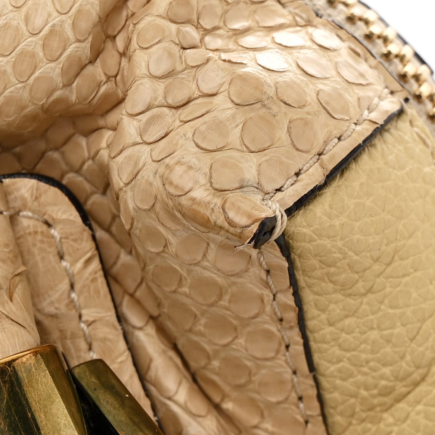 Snakeskin Medium Paraty Beige