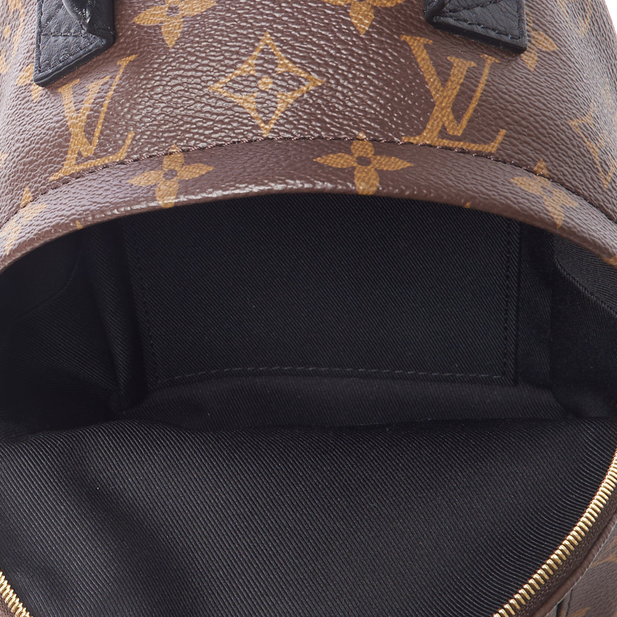 Monogram Palm Springs Backpack Mini
