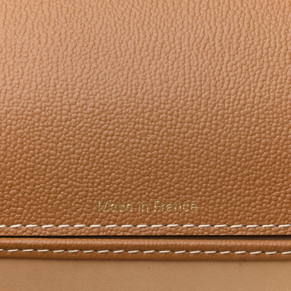 Delvaux Grained Rodeo Calfskin Surpique Mini Brillant Satchel Vegetal Ivory 10 of 10