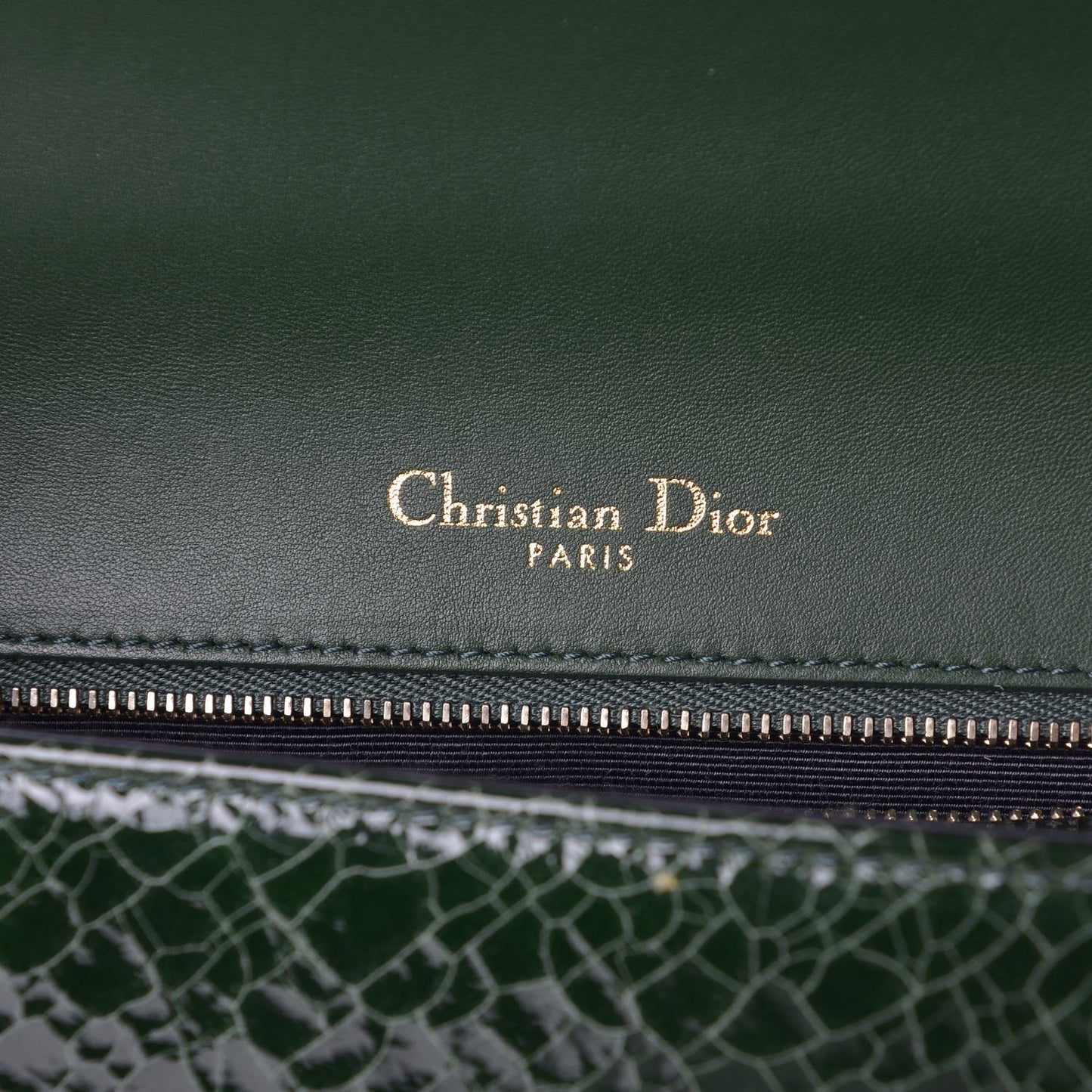 Ceramic Effect Deerskin Large Diorama Flap Bag Malachite Green