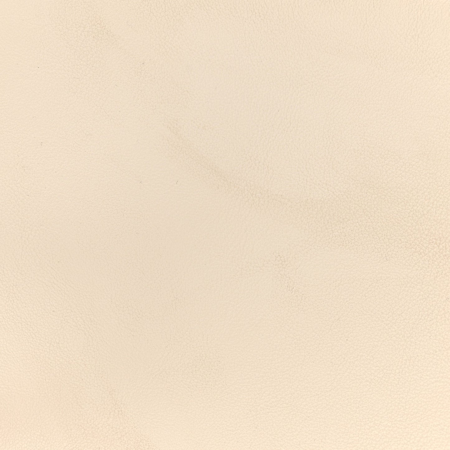 Vitello Grace Matte Small Fendigraphy Hobo Bag White Ice