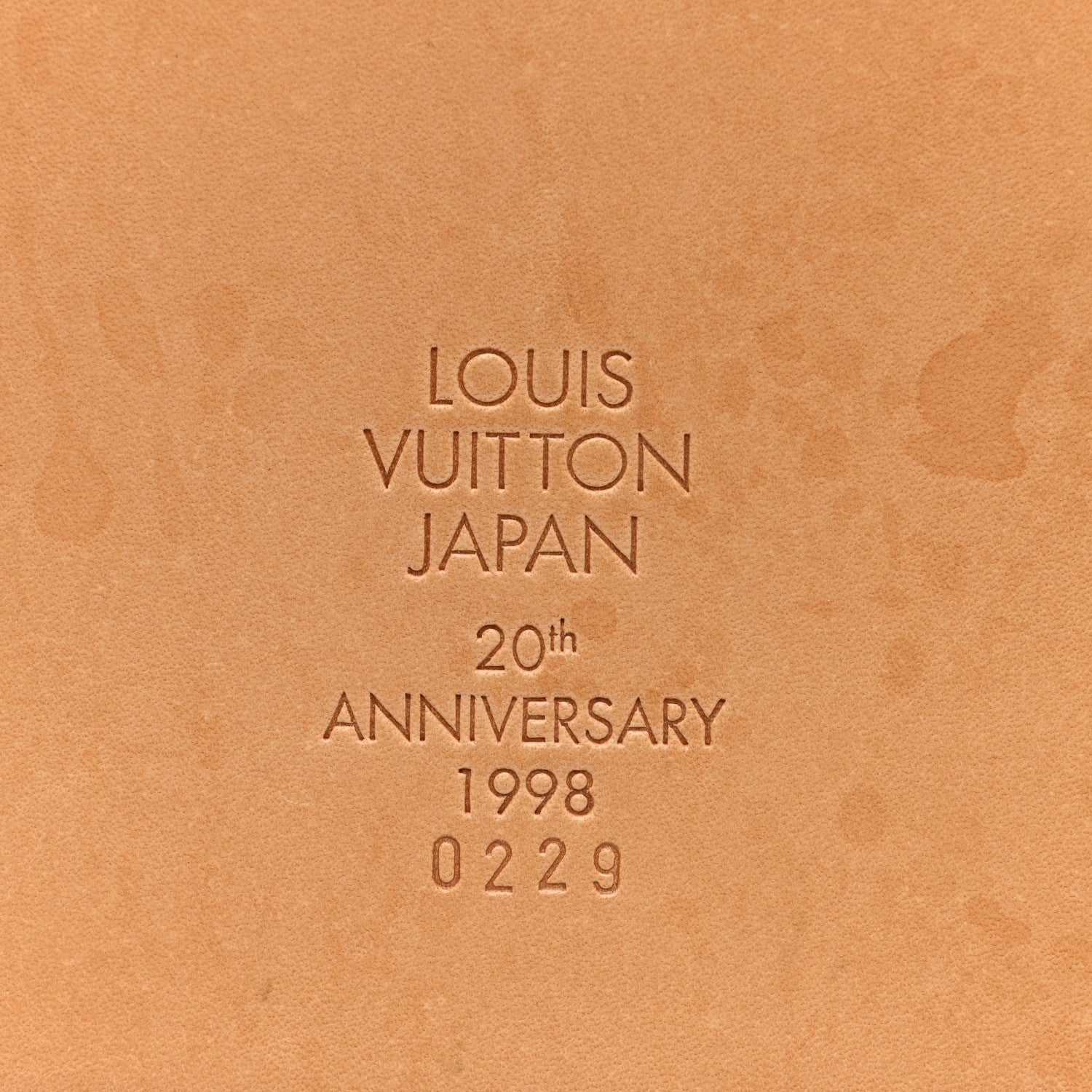 Louis Vuitton Vachetta Petit Bucket 23 18 of 19