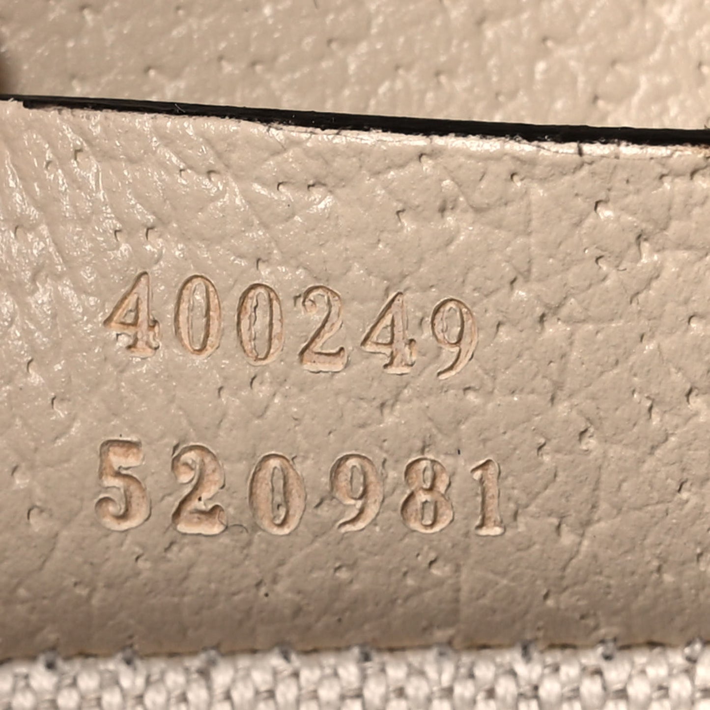 Textured Calfskin Crystal Small Dionysus Shoulder Bag Mystic White