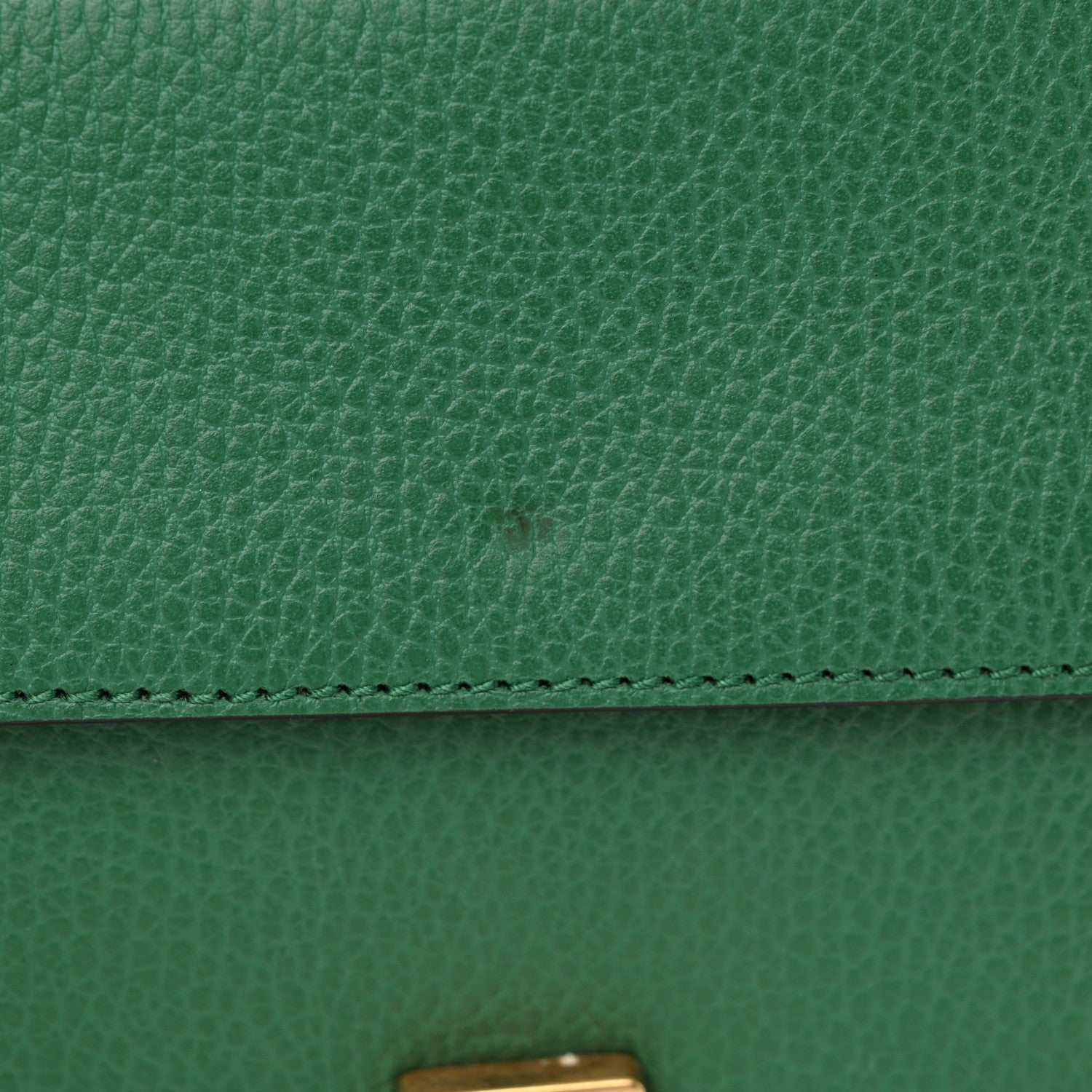 Gucci Calfskin Mini Dionysus Shoulder Bag Emerald 13 of 13