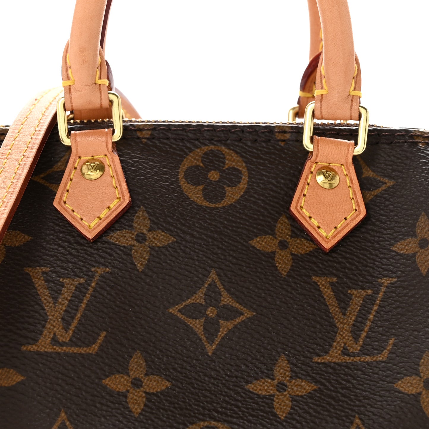 Monogram Nano Speedy