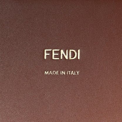 Fendi Vitello King Plexiglass Medium Fendi Sunshine Shopper Tote Cuoio 6 of 11