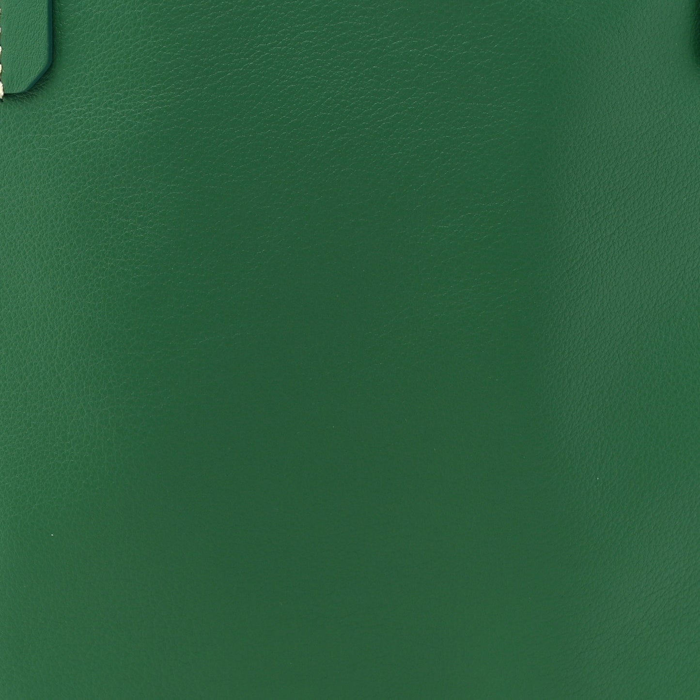 Goyardine Reversible Mini Anjou Green