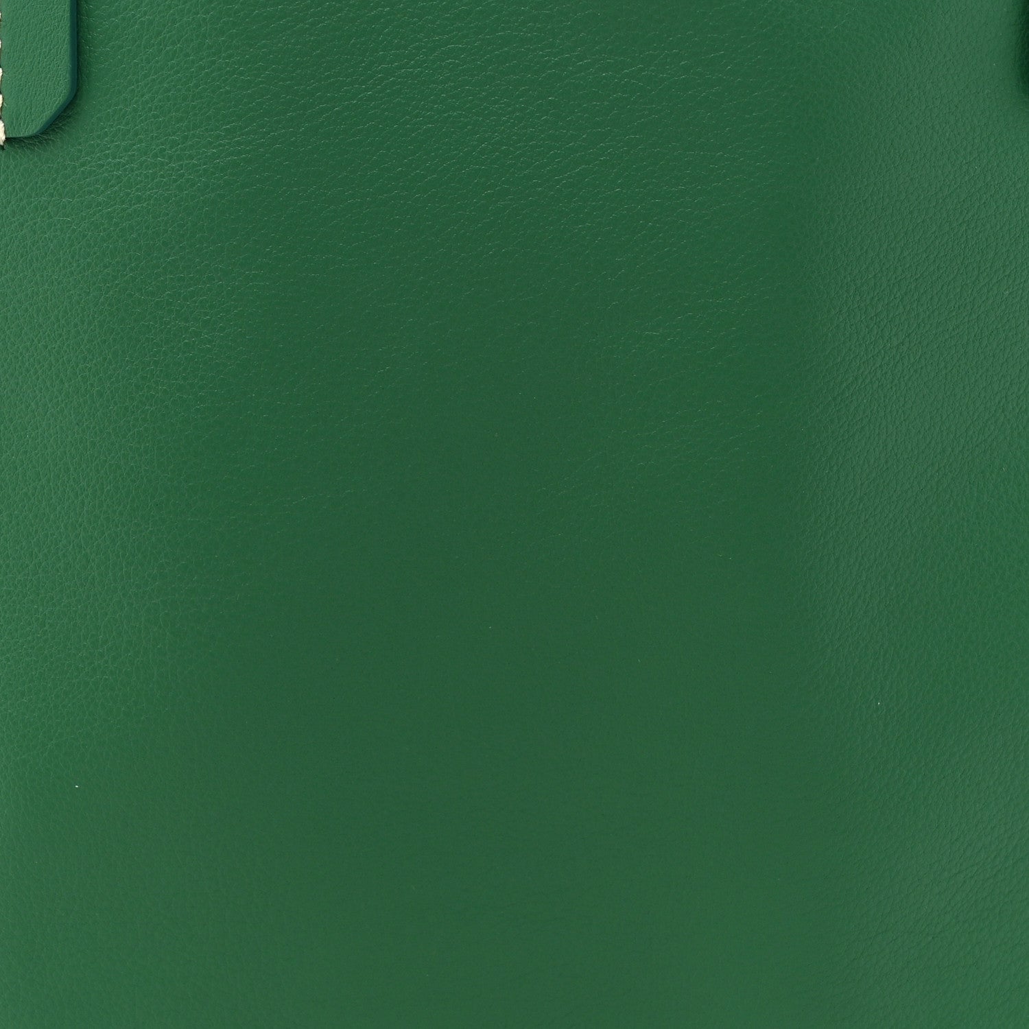 Goyard Goyardine Reversible Mini Anjou Green 14 of 19