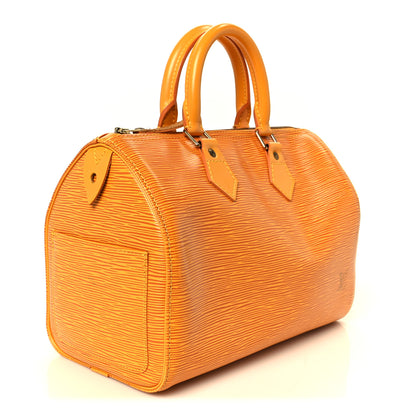 Louis Vuitton Epi Speedy 25 Tassil 3 of 10