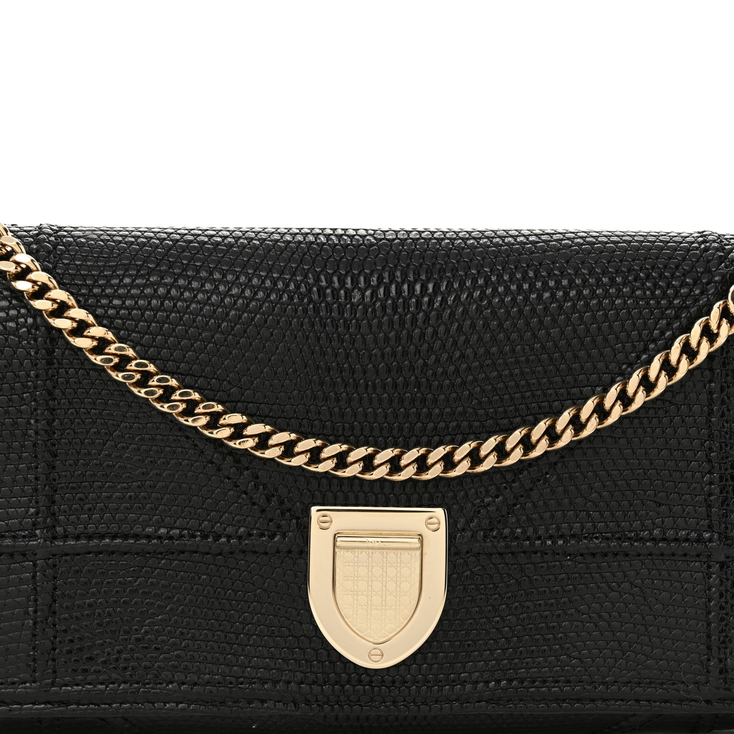 Lizard Diorama Croisiere Chain Wallet Black