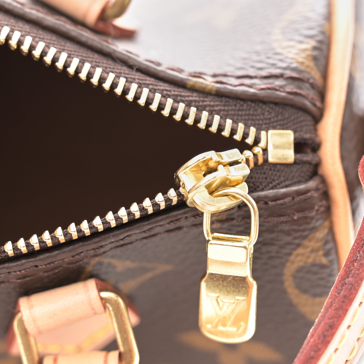 Monogram Nano Speedy