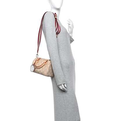 Louis Vuitton Meowgram Grace Coddington Speedy Bandouliere 20 2 of 11
