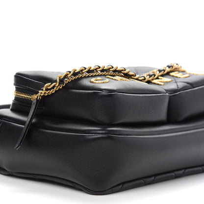 Chanel Calfskin Quilted Small Camera Case Black 8 of 9