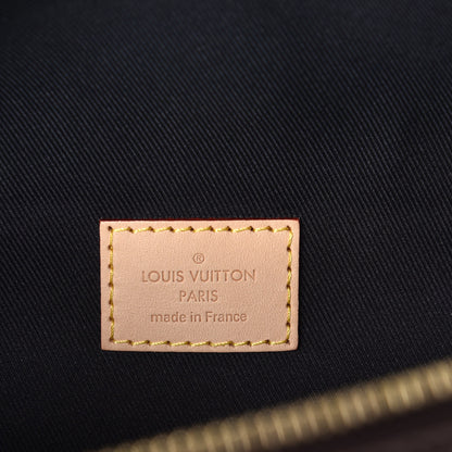 Louis Vuitton Monogram Bumbag 6 of 9