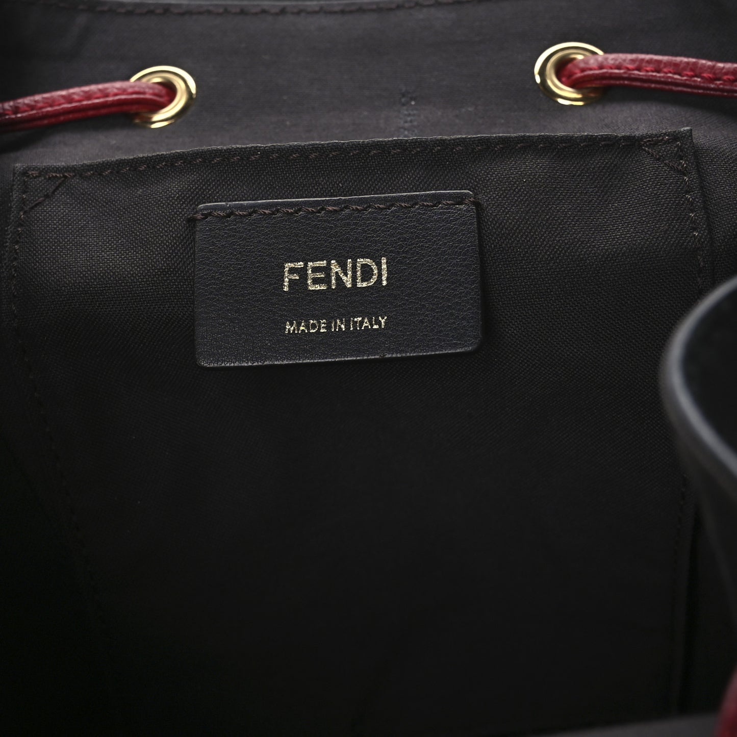 Vitello Cruise Bi-Color FF 1974 Embossed F is Fendi Drawstring Backpack Black Fragola Maya