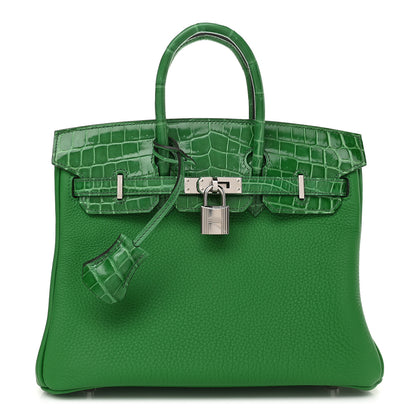 Hermes Togo Shiny Niloticus Crocodile Birkin Touch 25 Bambou Cactus 1 of 10