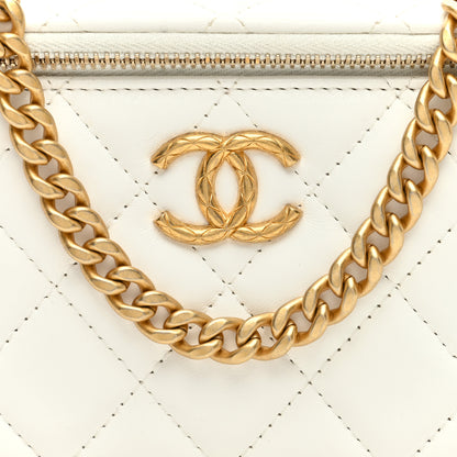 Chanel Lambskin Quilted Small Pillow Crush Vanity Case With Chain White 9 of 11