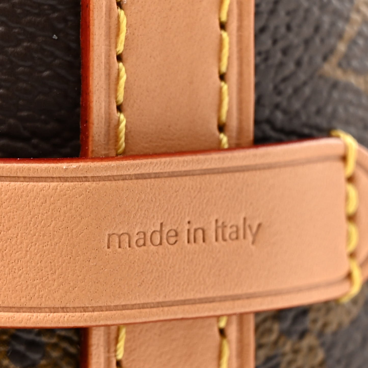 Monogram Carryall PM