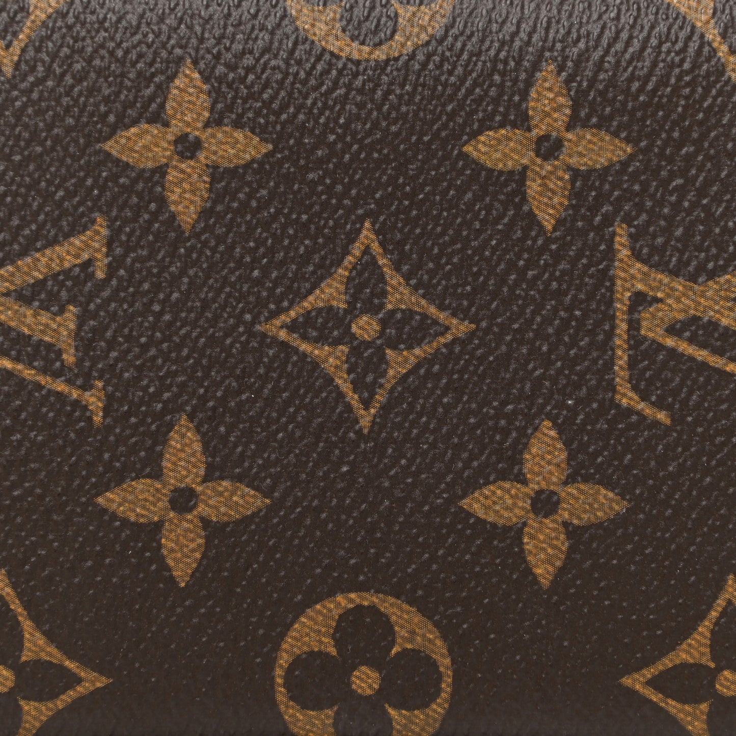 Monogram Sunglasses Case MM