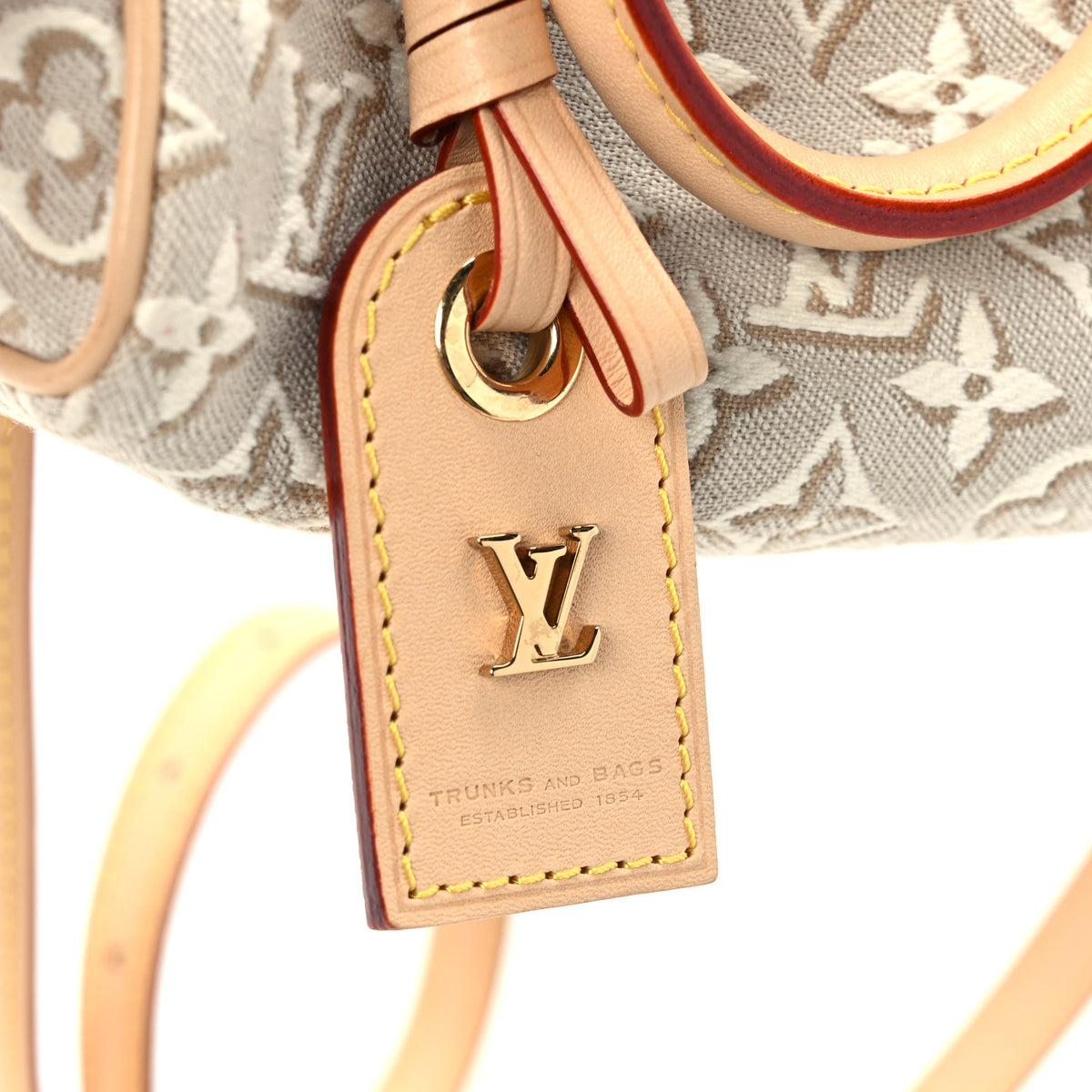 Louis Vuitton Jacquard Monogram Embleme Nano Speedy Peuplier 7 of 11