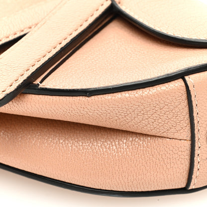 Christian Dior Goatskin Micro Saddle Bag Rose Des Vent 10 of 10