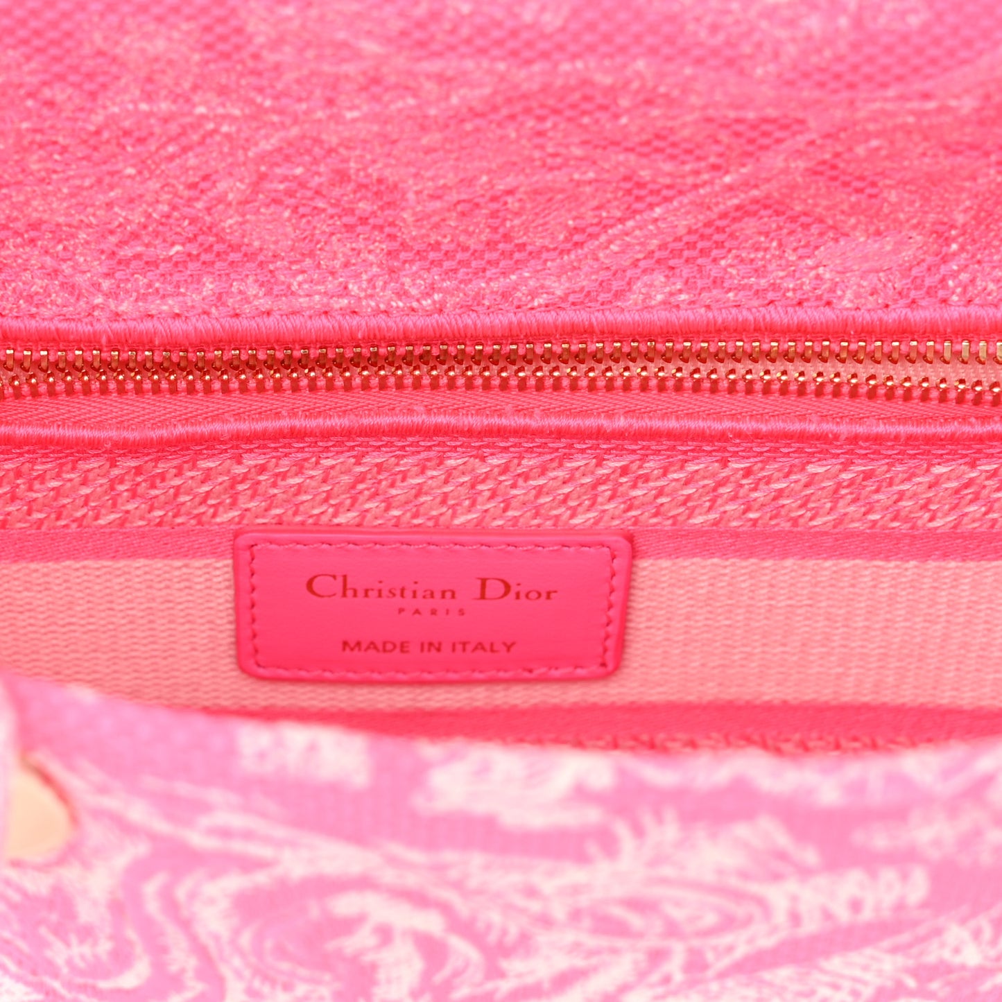Canvas Toile De Jouy Reverse Embroidered Medium Lady D-Lite Fluorescent Pink