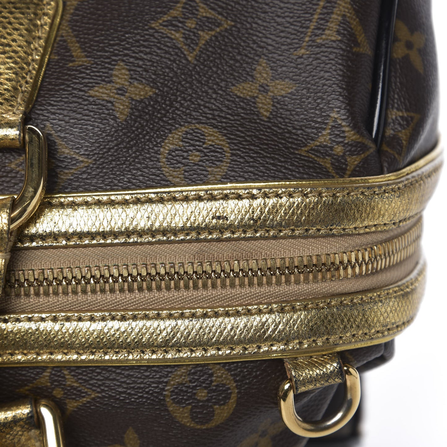 Monogram Leopard Stephen Bag