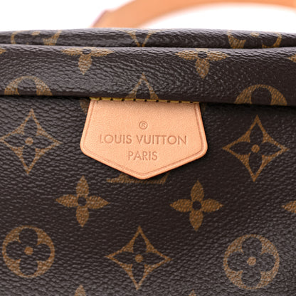 Louis Vuitton Monogram Bumbag 9 of 12