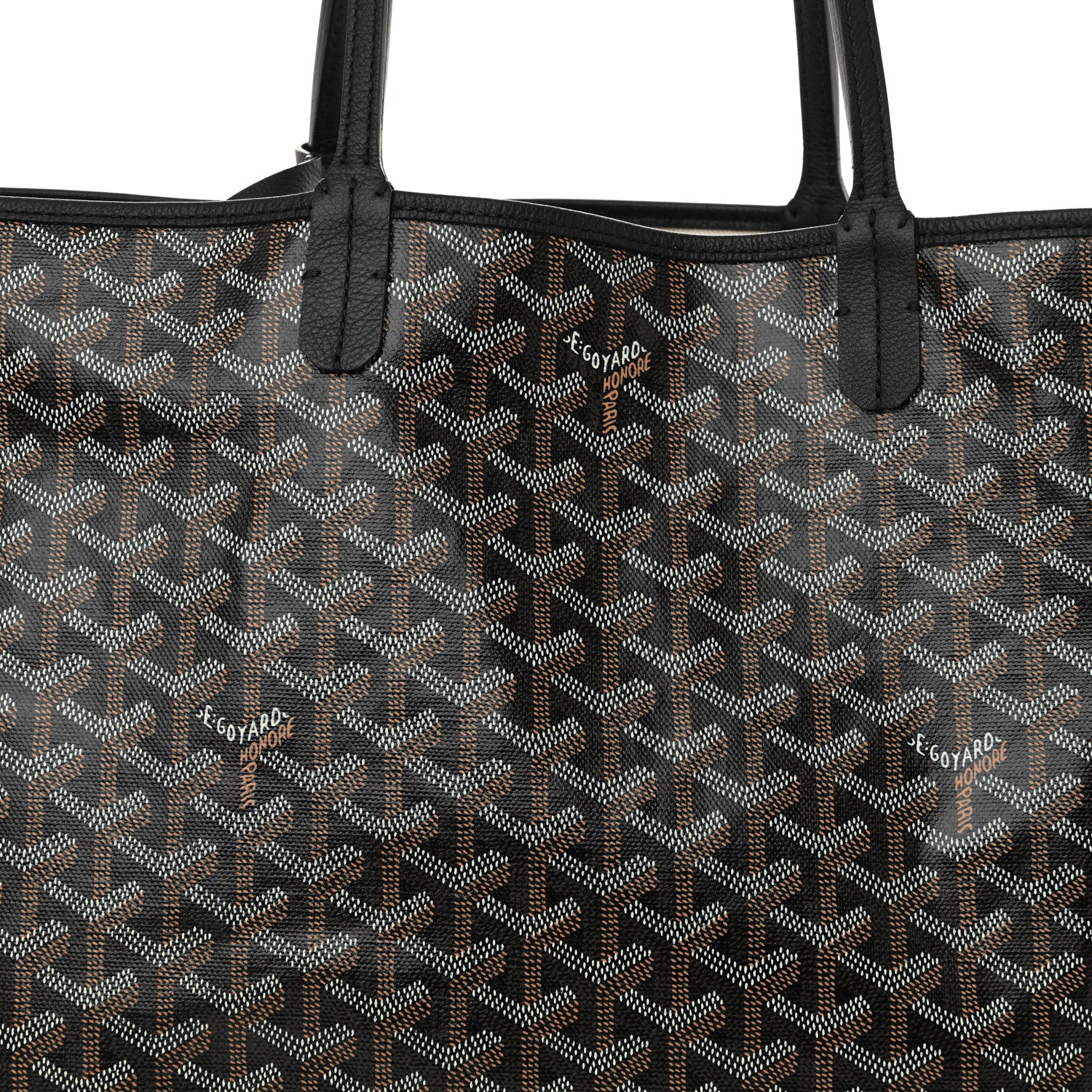 Goyard Goyardine Saint Louis PM Black 9 of 16