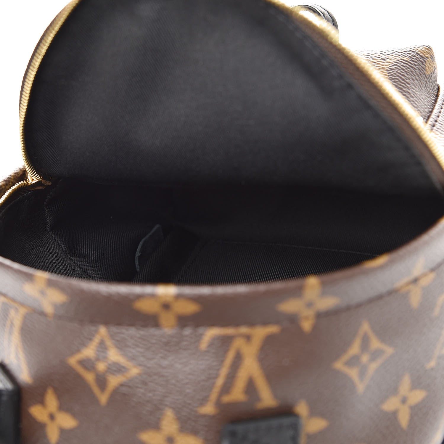 Louis Vuitton Monogram Palm Springs Backpack Mini 5 of 11