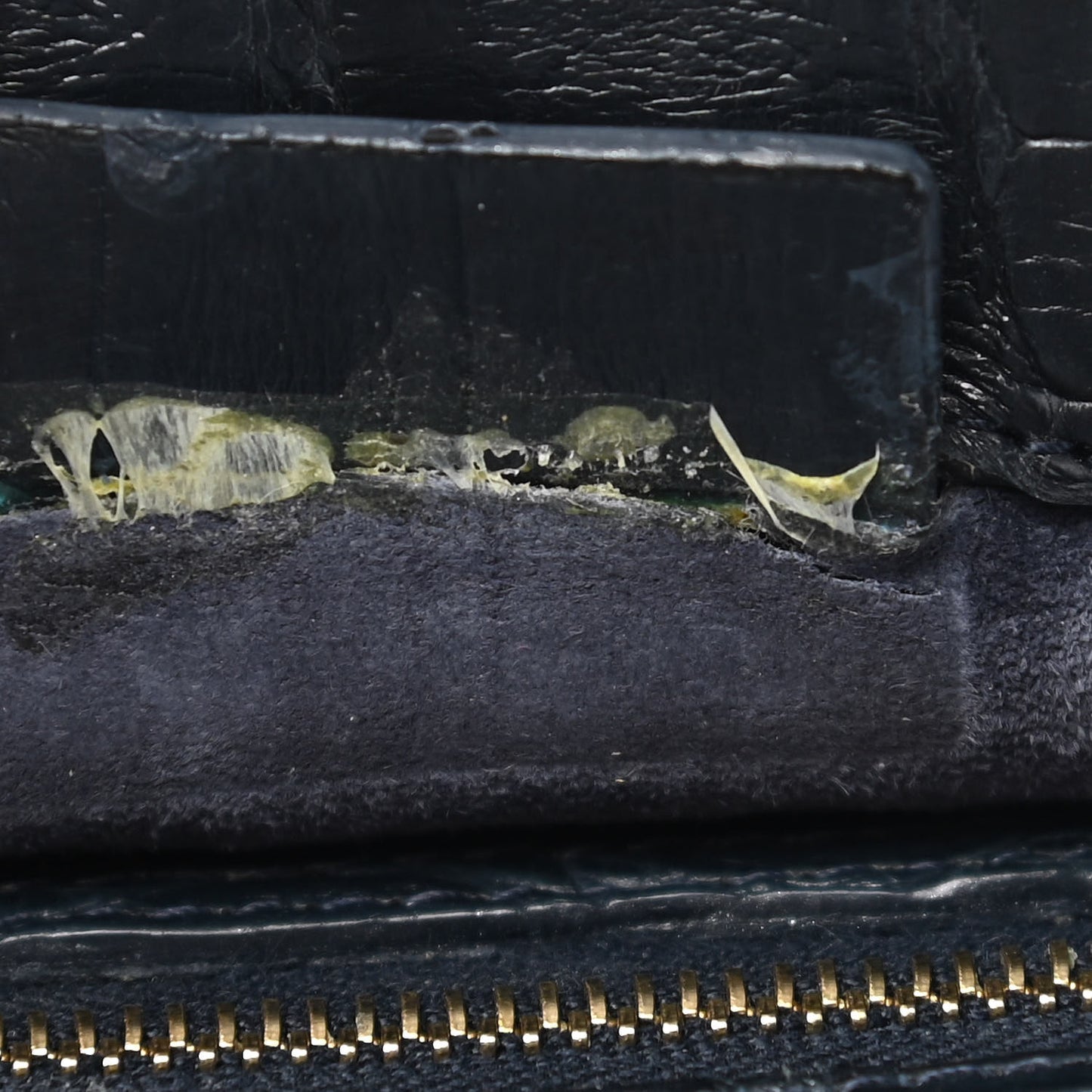 Crocodile Clutch Blue