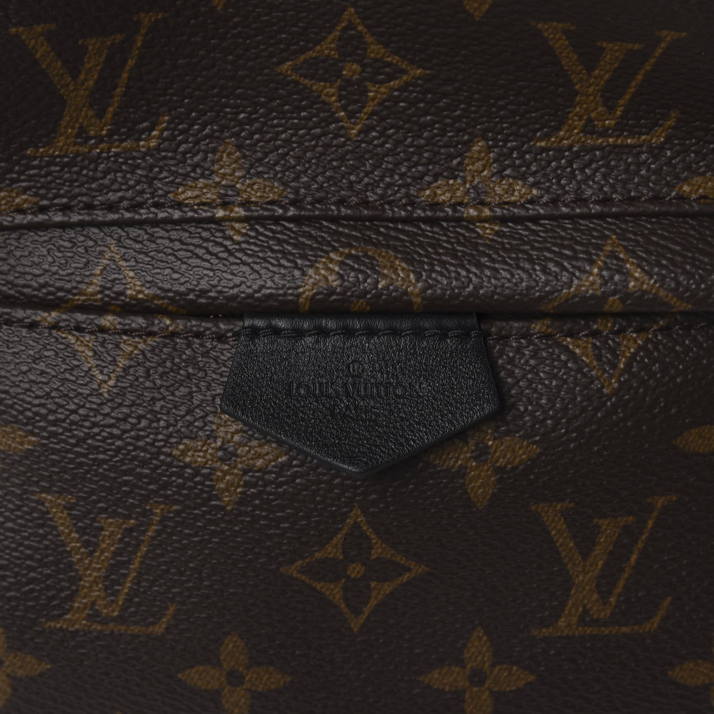 Monogram Palm Springs Backpack PM