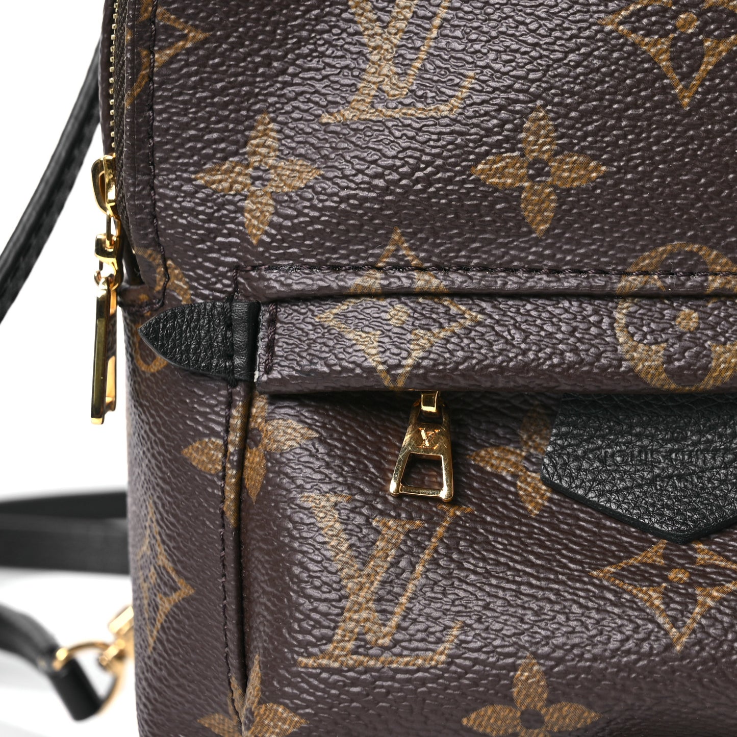 Monogram Palm Springs Backpack Mini