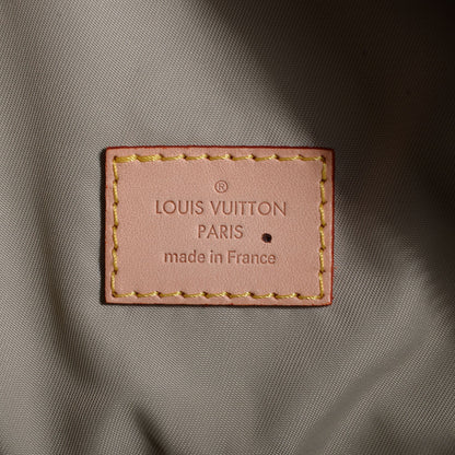 Louis Vuitton Damier Geant Souverain Terre 6 of 7