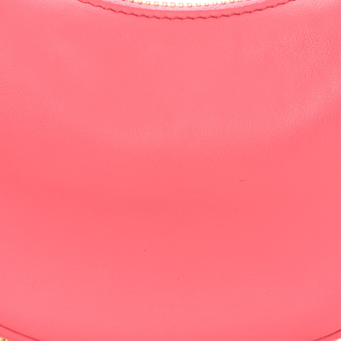 Vitello Grace New Matte Nano Fendigraphy Hobo Charm Pink Dalia